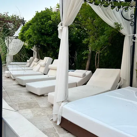 Harmony Monte Carlo *